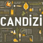 Candizi