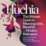 Fluchia