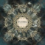 Fluchia