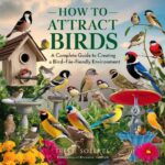 How to Attract Birds